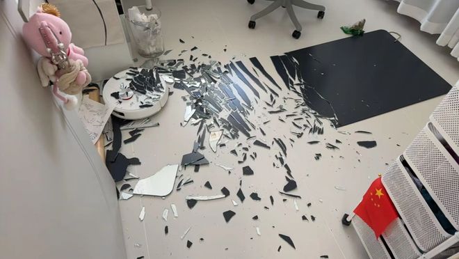 置这7个高级货电器生活质量大大提升！AG真人国际网站若不差钱咬牙也要添(图17)